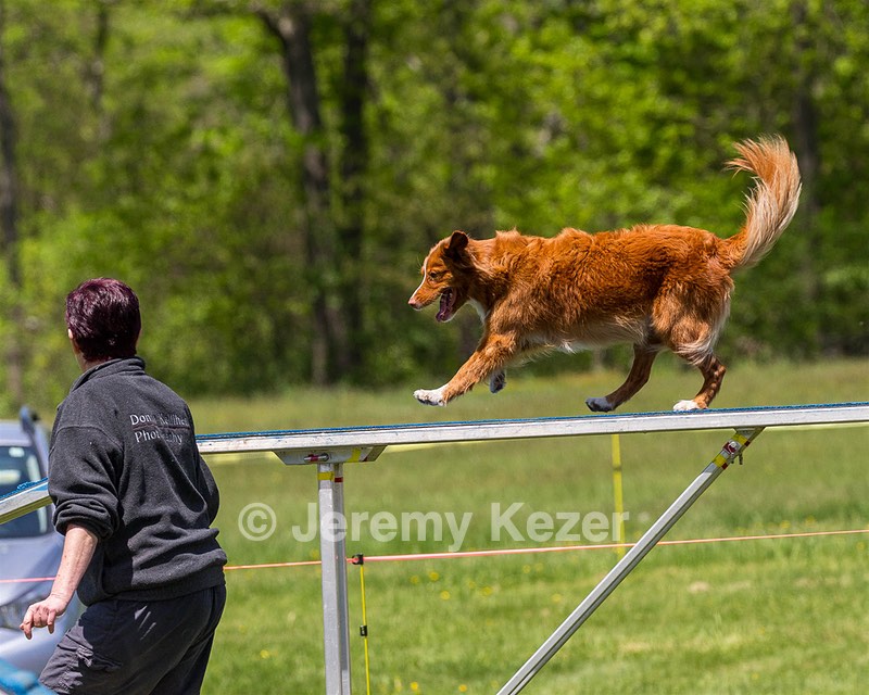 20170520-NEAT-1451.jpg