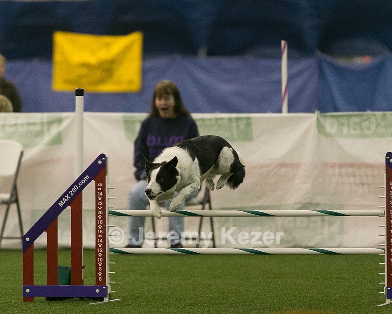 20150321-LEAP-0446.jpg