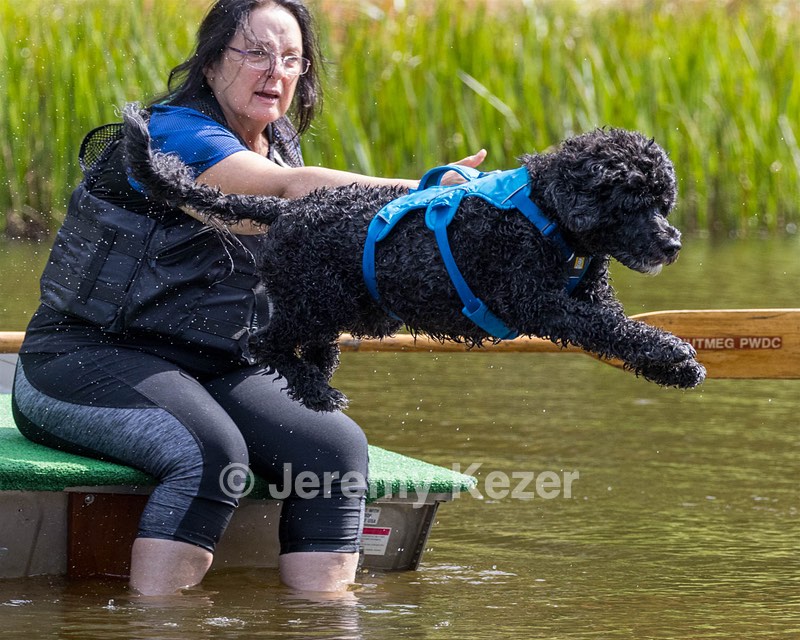 "Fenwick" and Janet