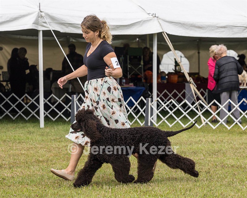 24 - POOLE'S IDE MODERN LOVE CGC (Remi)