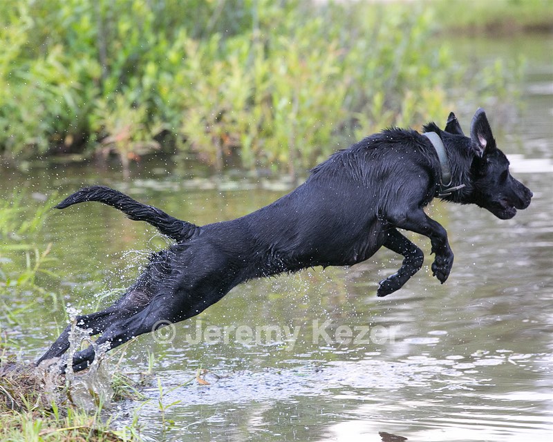 Remi Boudreaux