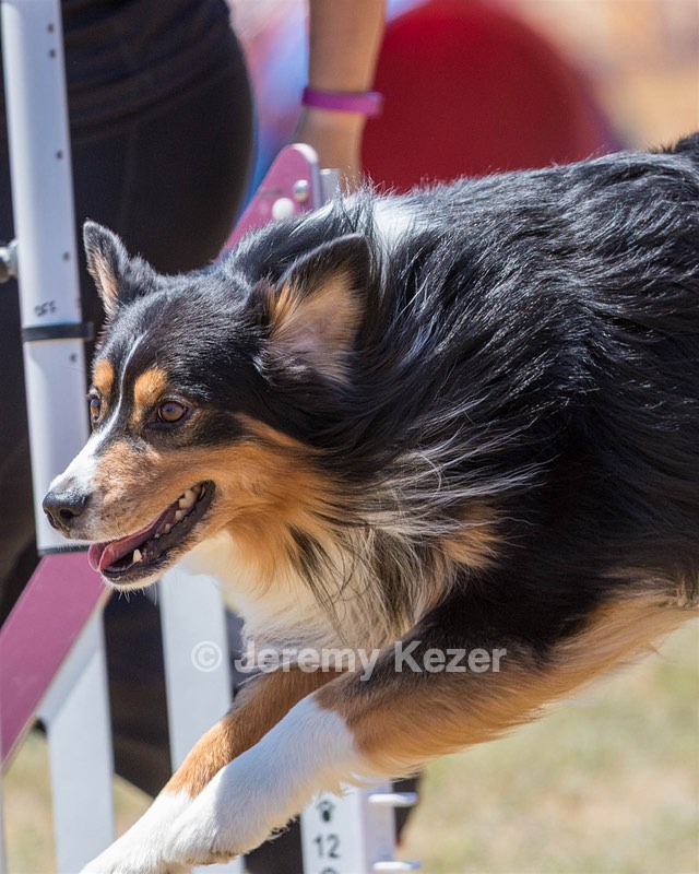 20160618-CCKC-1629.jpg