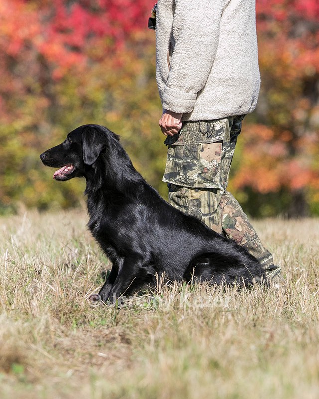 Hunter