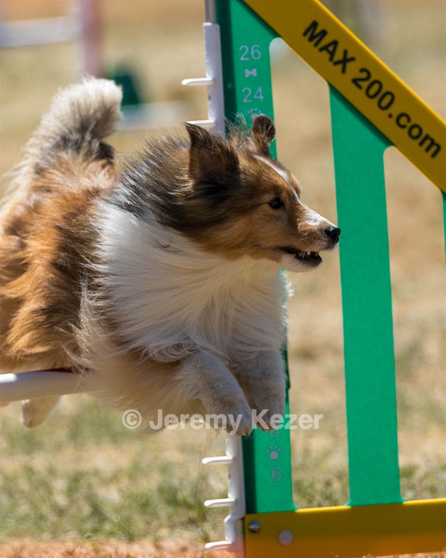 20160618-CCKC-1884.jpg