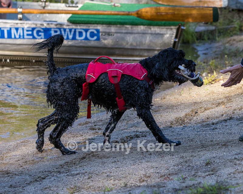 Gabie Sue
