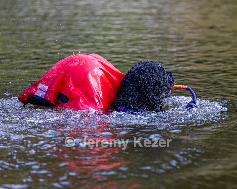 Perry