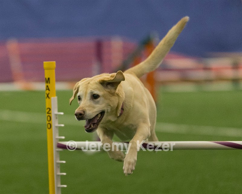 20150321-LEAP-0917.jpg