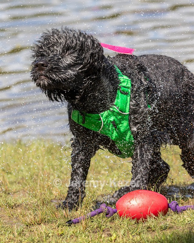 20170820-CWD-0040.jpg