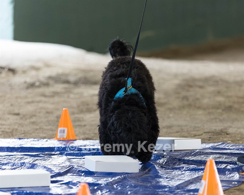 Snug Harris