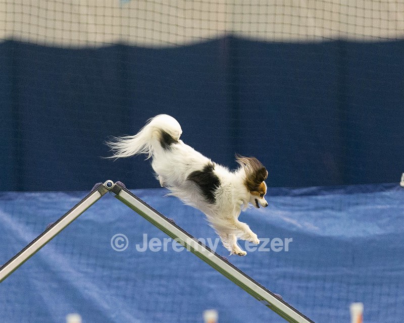 20150321-LEAP-1643.jpg