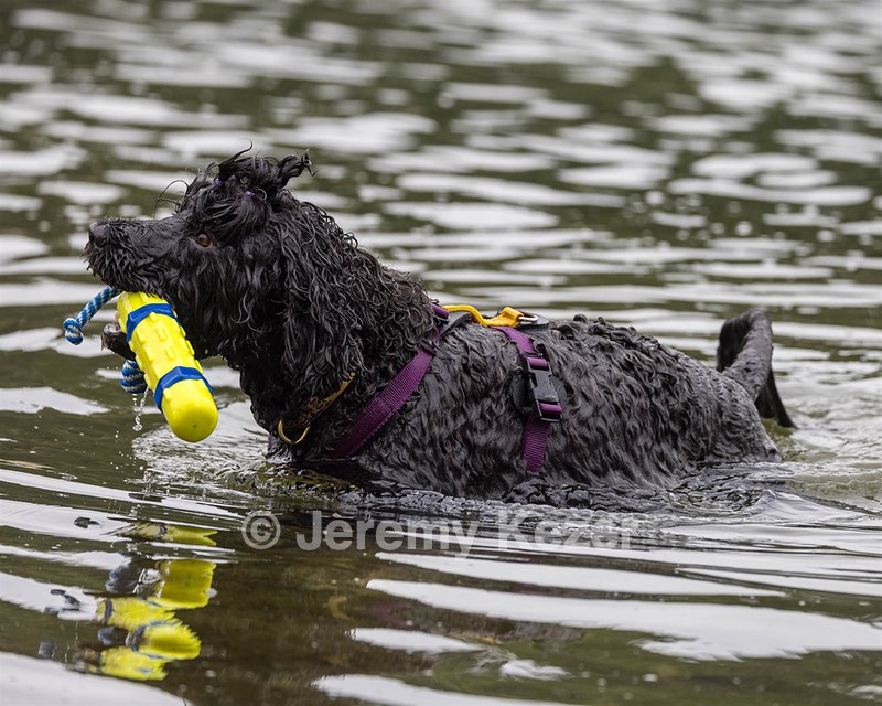 Nike Nickerson