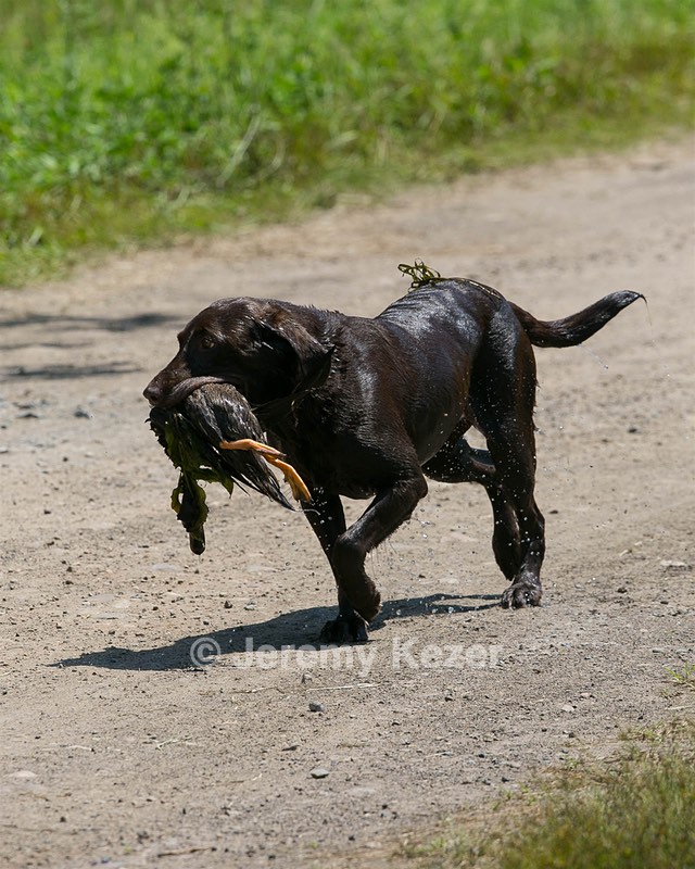 20130714-MHB2-0005.jpg