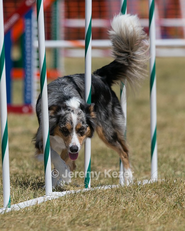 20150614-CCKC-1761.jpg