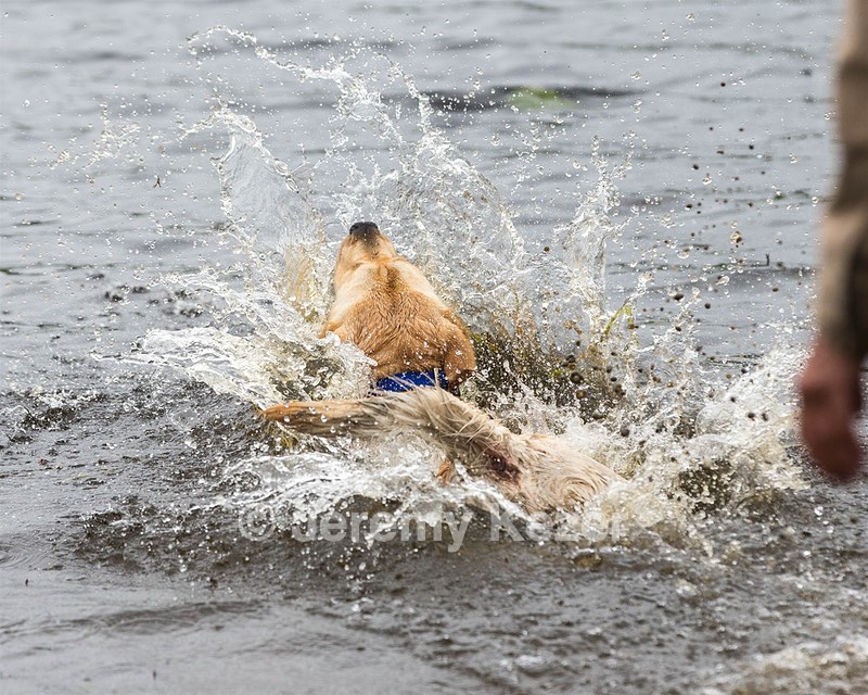 Colonel