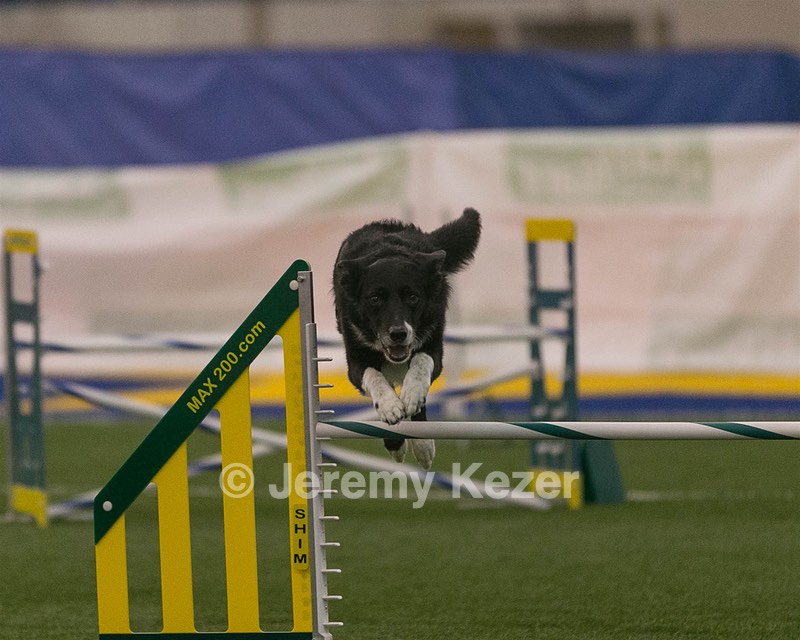 20150321-LEAP-0307.jpg