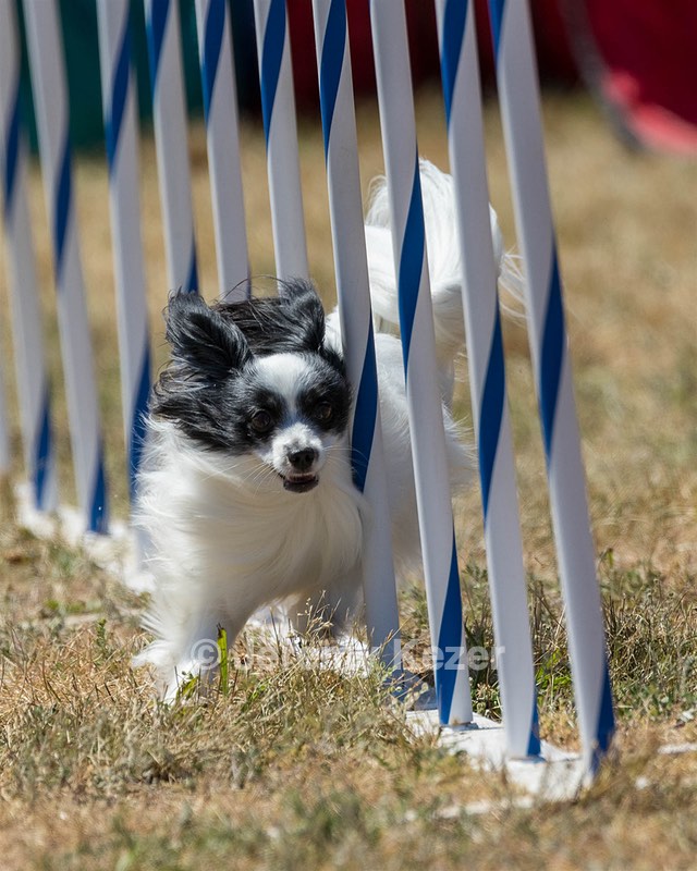 20160618-CCKC-2009.jpg