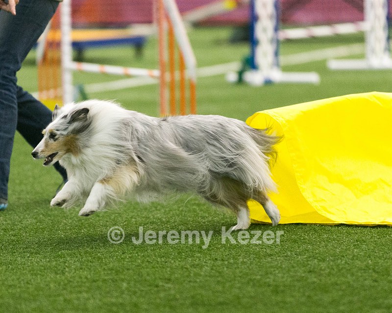 20150322-LEAP-0182.jpg