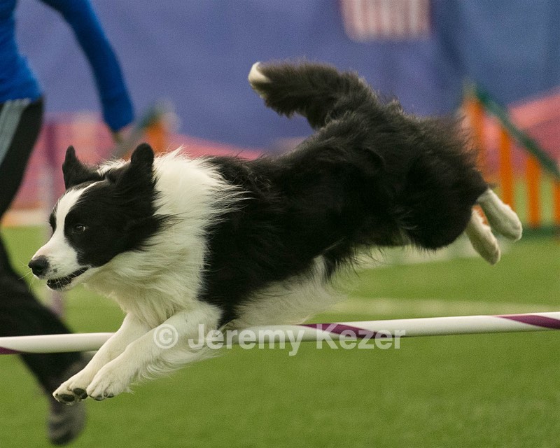 20150321-LEAP-0945.jpg