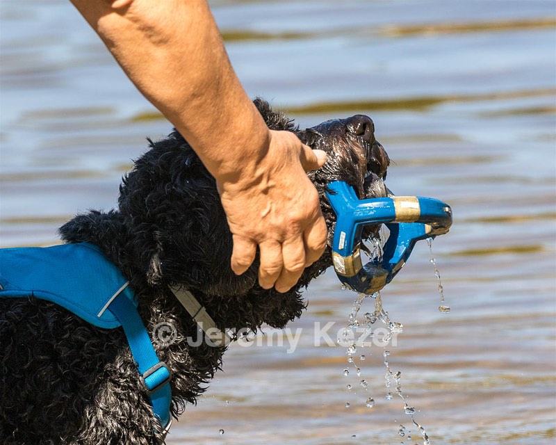 Fenwick Janet
