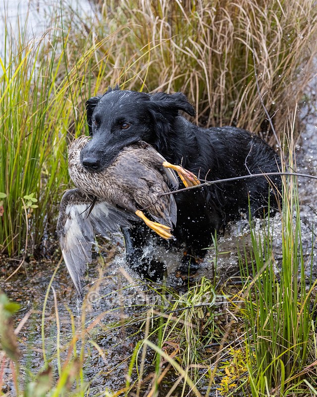 Hunter Klein