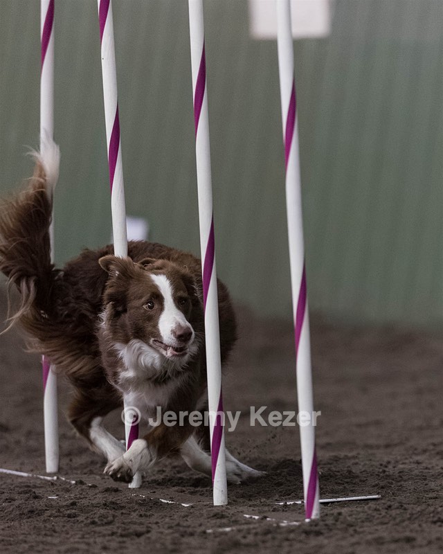 Ruff Bettler