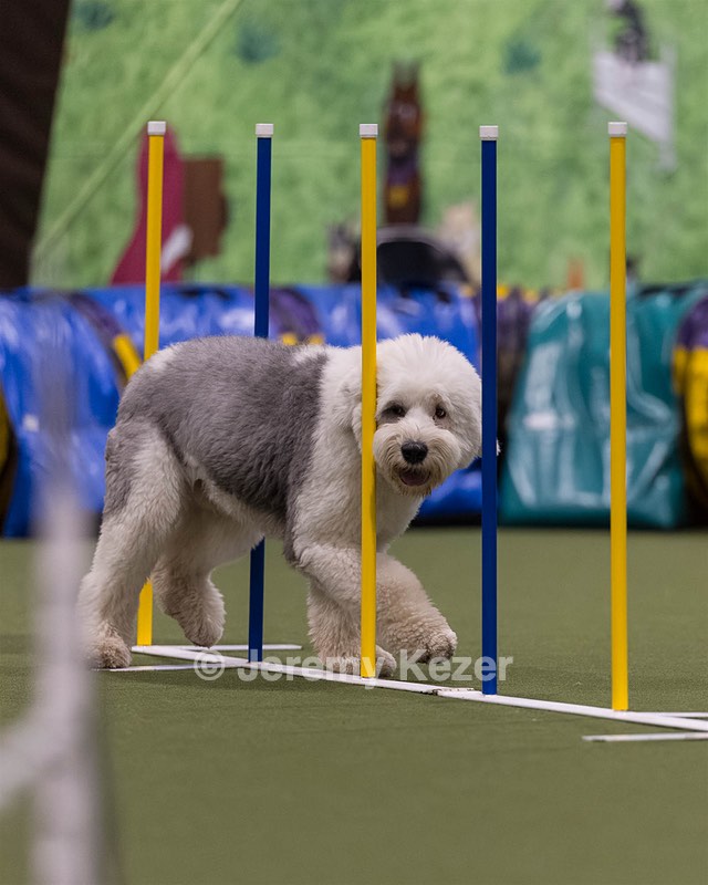 Yoshi Mabardy