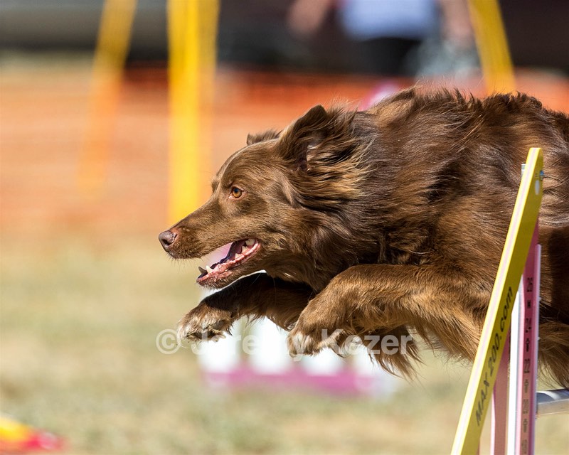 20160619-CCKC-1784.jpg