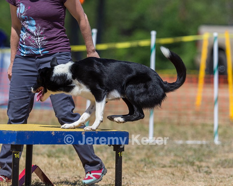 20160619-CCKC-1351.jpg