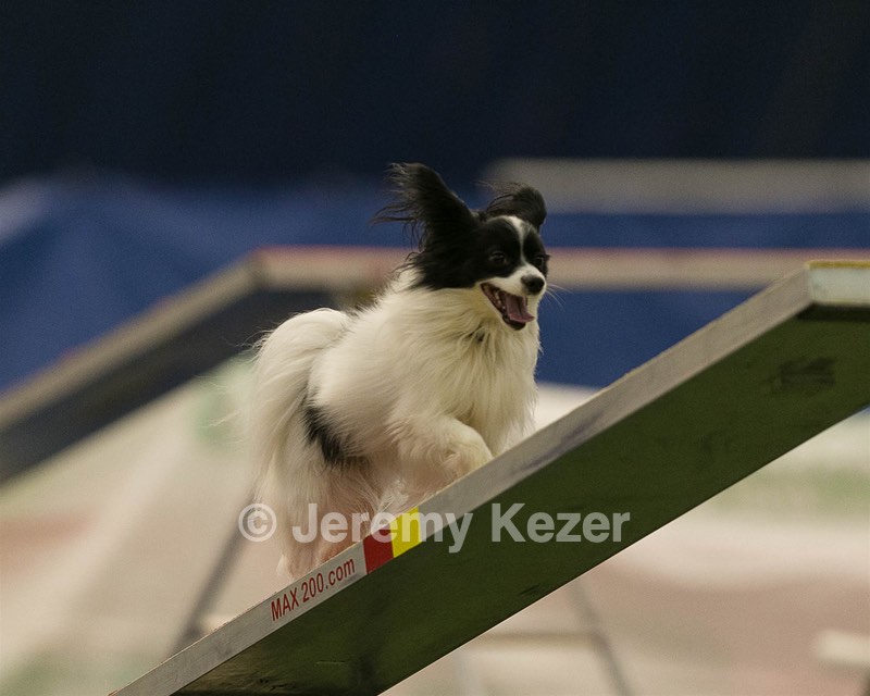 20150321-LEAP-1655.jpg