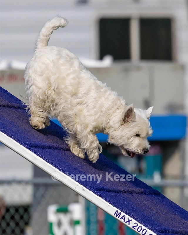 Ivy Barnum