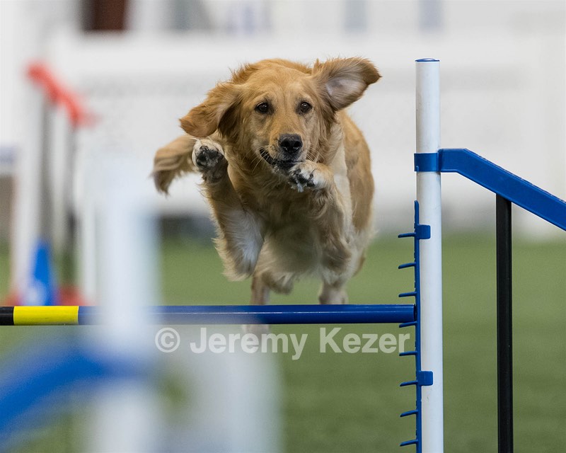 Penny Hall