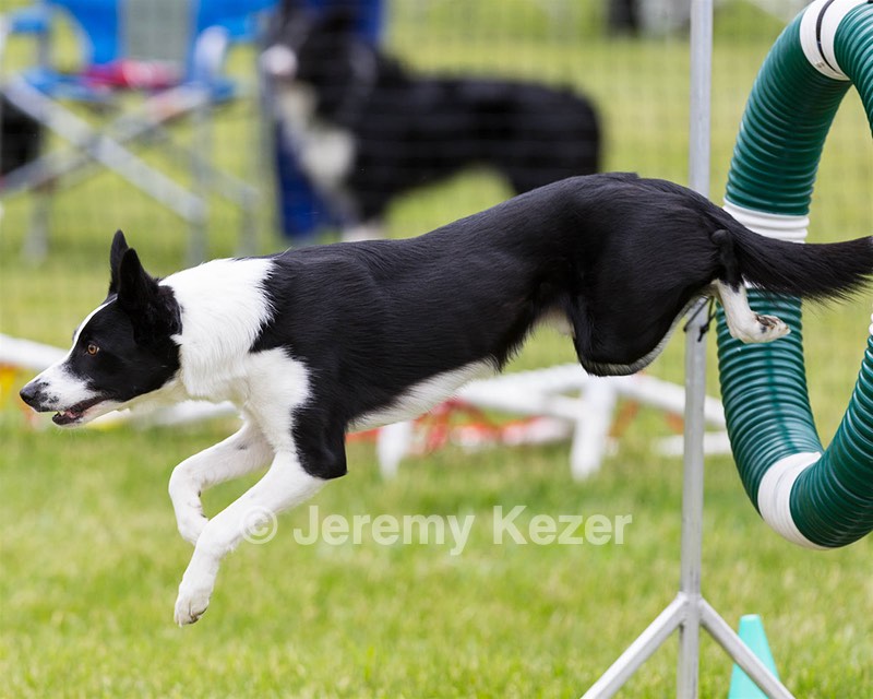 20160515-NEAT-0677.jpg