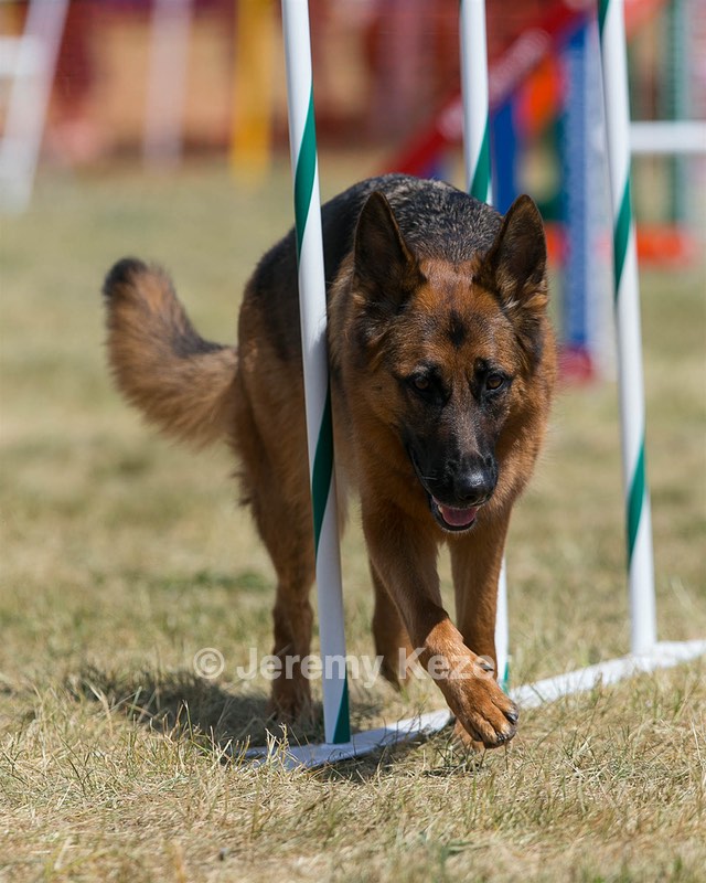 20150614-CCKC-1789.jpg