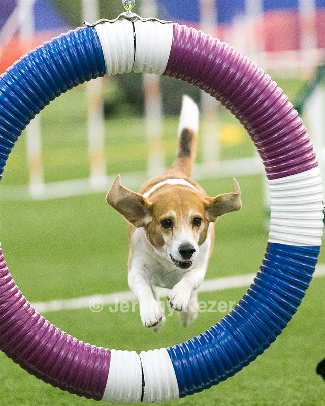 Baxter Wind