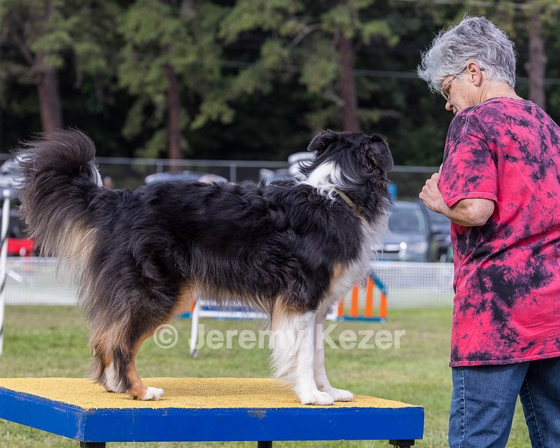 Shout Benjamin