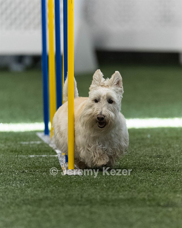 Monty Krapf