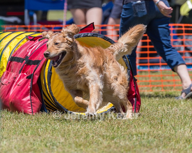 20190615-CCKC-0935.jpg