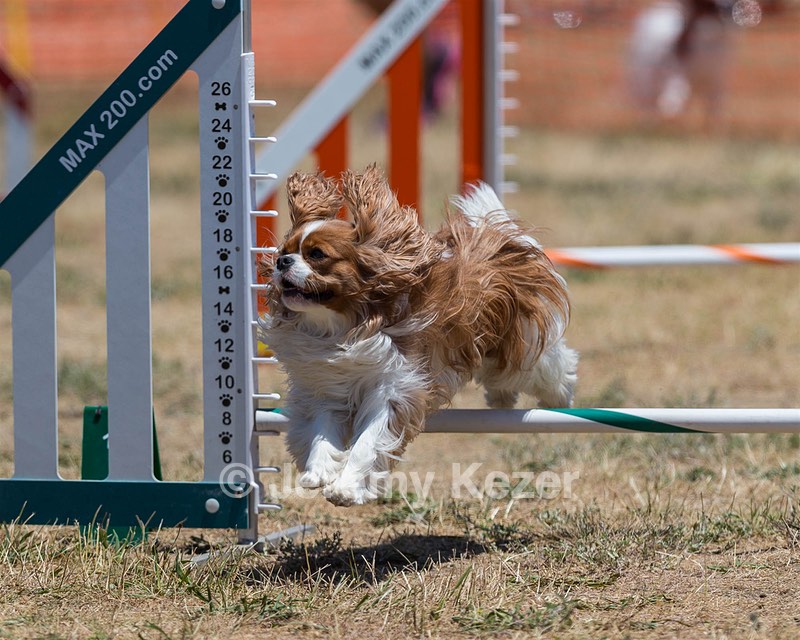 20160619-CCKC-0959.jpg