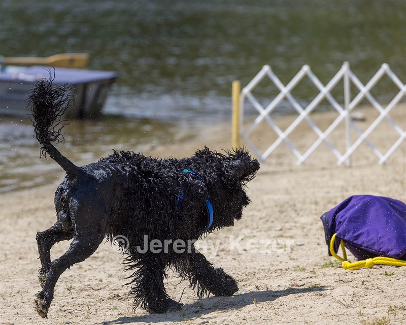 Magic Simmons