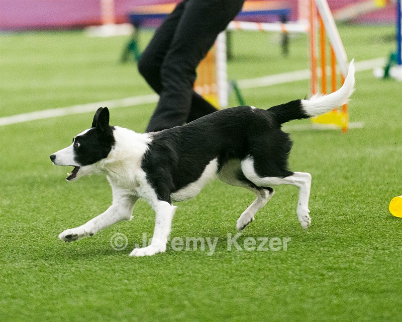 20150322-LEAP-0547.jpg