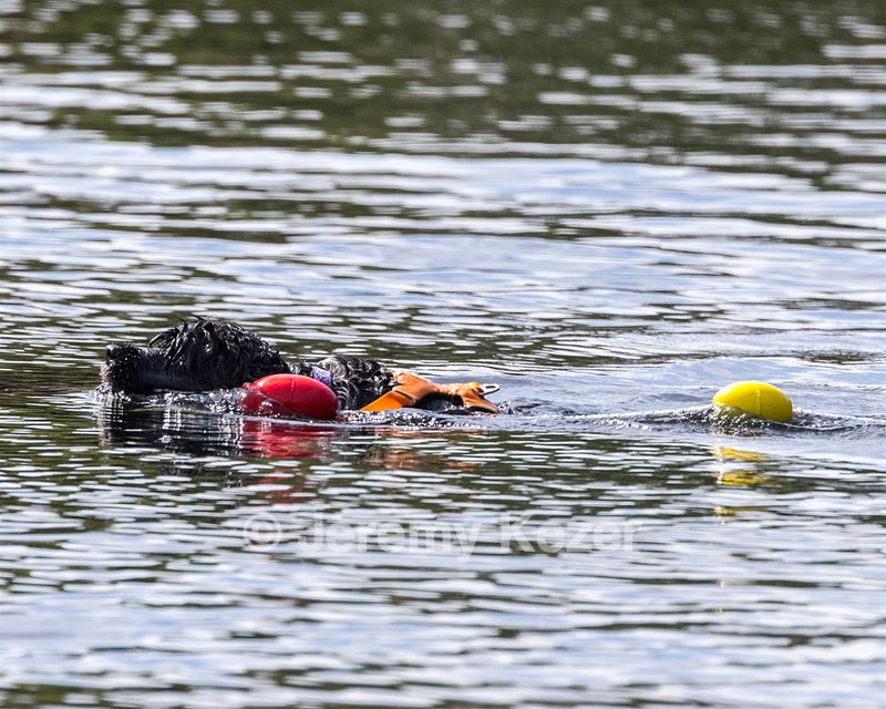 Liza Karen