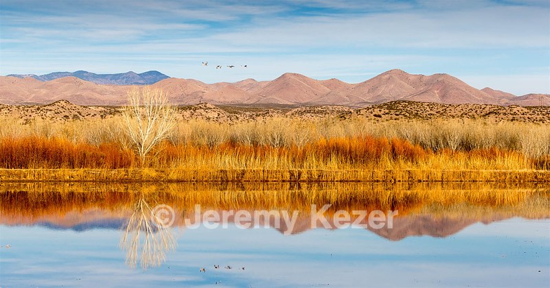 New Mexico
