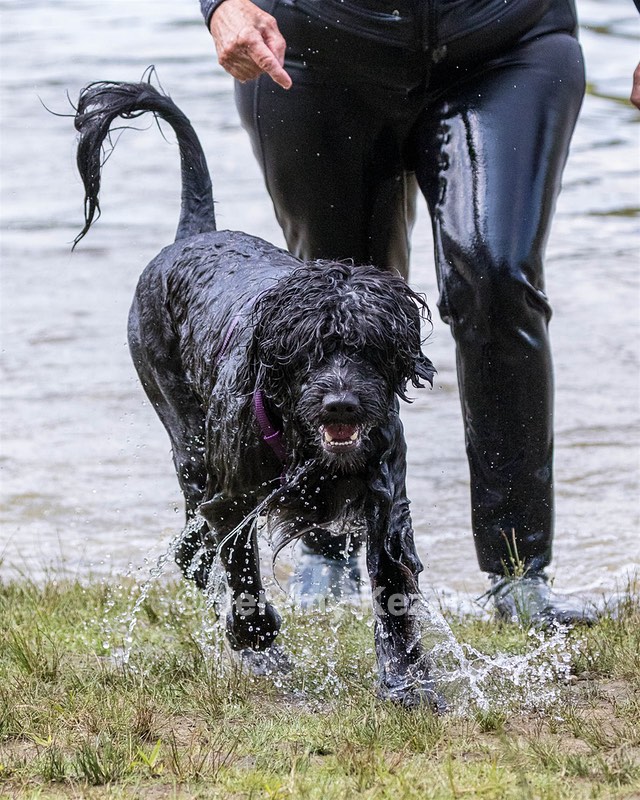 Saoirse