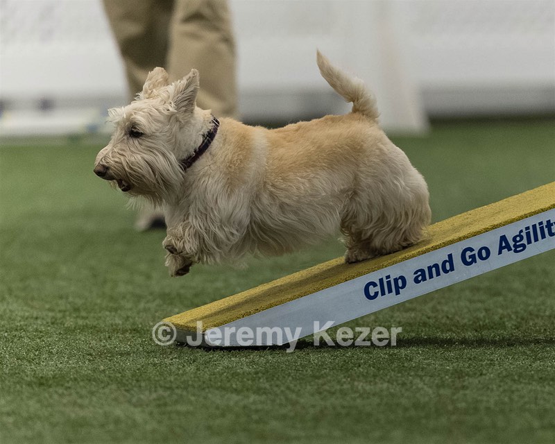 Monty Krapf