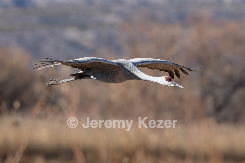 20151206-1983.jpg