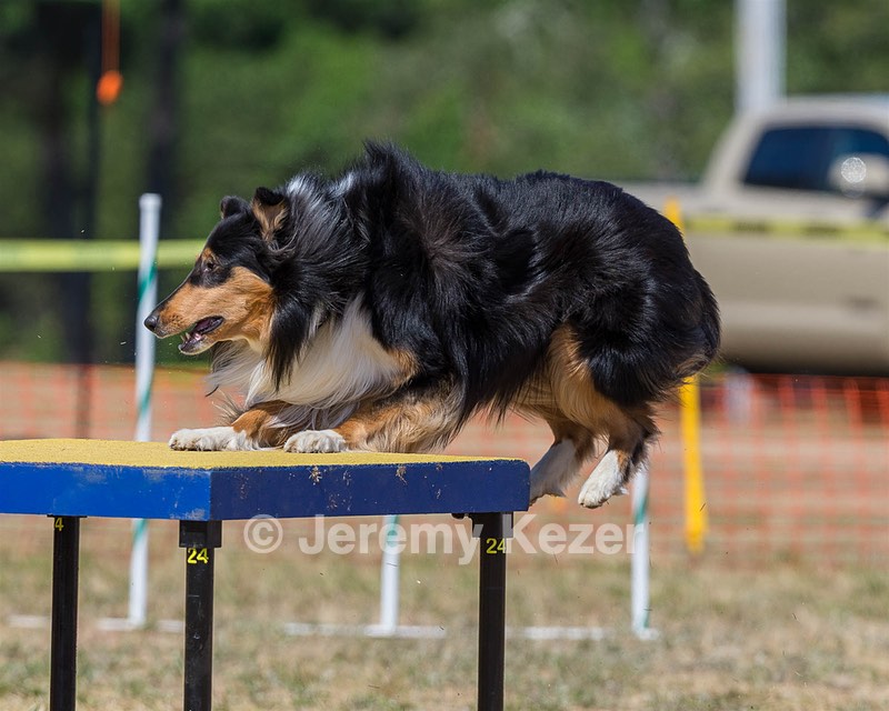 20160619-CCKC-1623.jpg