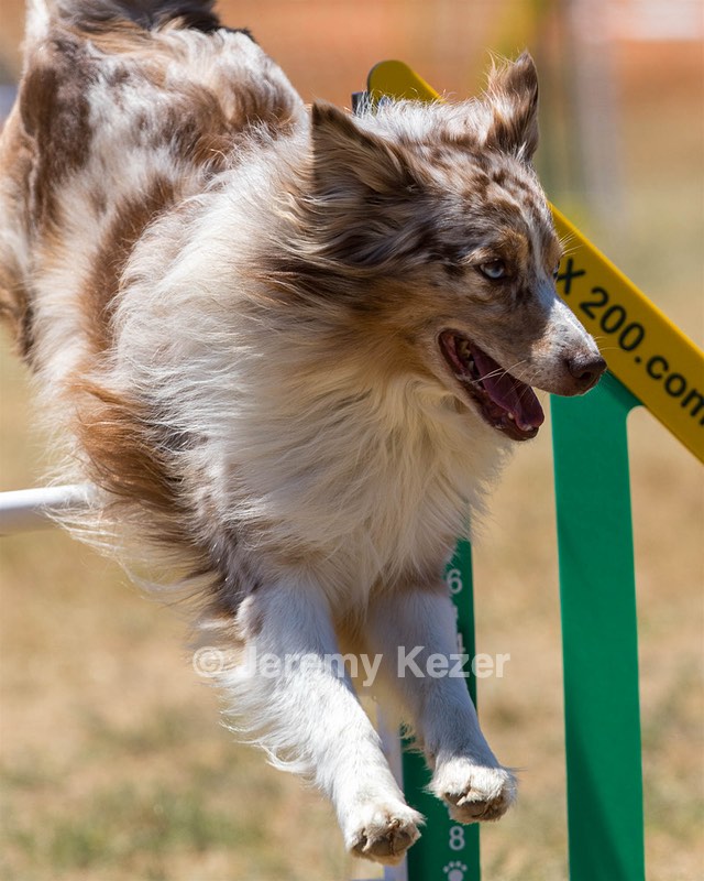 Keebler Derby