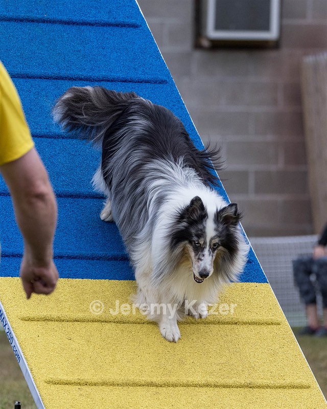 20230917-PVKC-2971.jpg