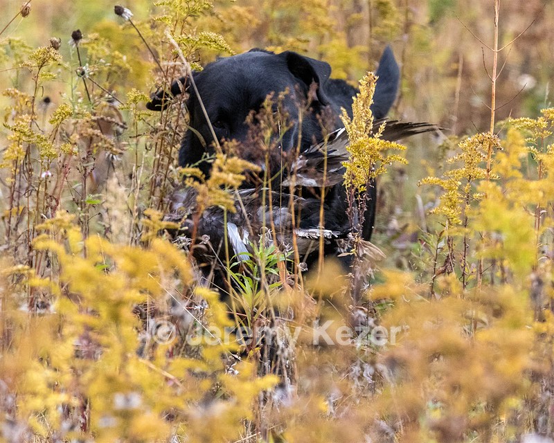 20191013-WCIL-0039.jpg