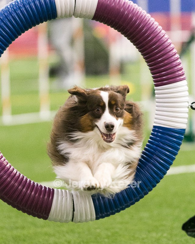 20150322-LEAP-0342.jpg
